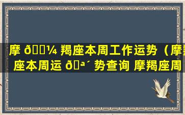 摩 🌼 羯座本周工作运势（摩羯座本周运 🪴 势查询 摩羯座周运）